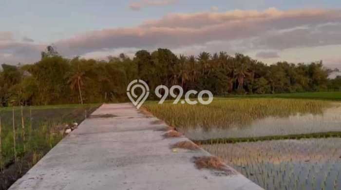 Tanah Dijual Lokasi Tabanan, Tabanan dengan Luas Tanah 500m2 dan Status SHM Tanah Dijual Lokasi Tabanan, Tabanan dengan Luas Tanah 500m2 dan Status SHM