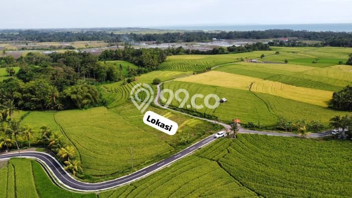 Tanah Dijual Area Strategis di Beraban Tabanan 2330m2 Tanah Dijual Area Strategis di Beraban Tabanan 2330m2
