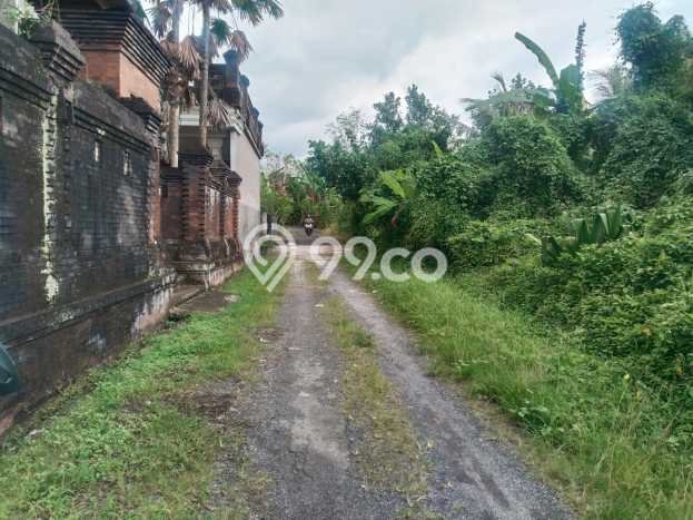 Lahan Dijual Lokasi Strategis di Gianyar dengan Luas 489m2 Lahan Dijual Lokasi Strategis di Gianyar dengan Luas 489m2
