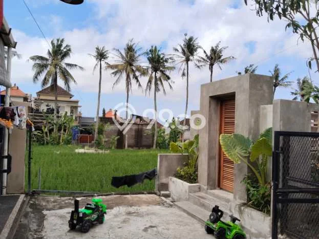 Rumah Modern 2 KT di Batubulan Kangin Gianyar Full Furnished Rumah Modern 2 KT di Batubulan Kangin Gianyar Full Furnished