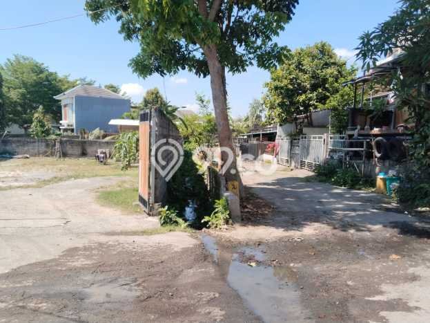 Hot Offer Hunian Mewah Ideal dan Luas di Denpasar Utara, Denpasar Hot Offer Hunian Mewah Ideal dan Luas di Denpasar Utara, Denpasar