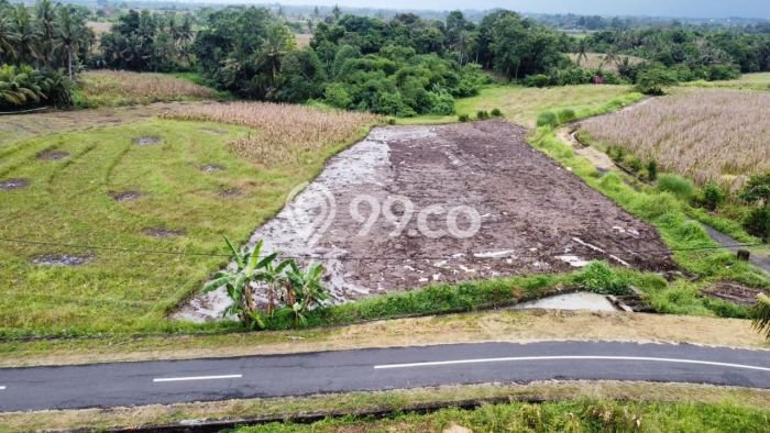 Tanah Dijual Area Strategis di Beraban Tabanan 2330m2 Tanah Dijual Area Strategis di Beraban Tabanan 2330m2