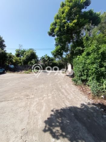 Tanah Dijual Lokasi Kuta, Badung Luas 4200m2 Legalitas Aman Tanah Dijual Lokasi Kuta, Badung Luas 4200m2 Legalitas Aman