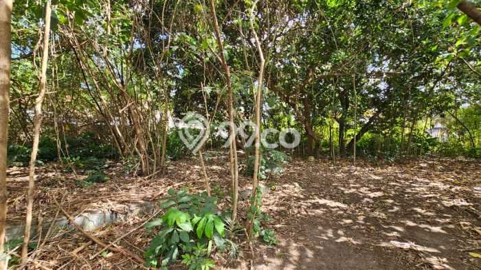 Tanah Dijual di Badung Seluas 1162m2 Strategis Tanah Dijual di Badung Seluas 1162m2 Strategis