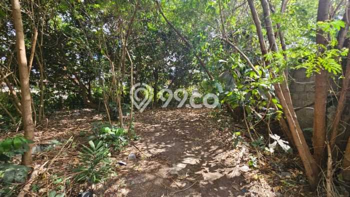 Tanah Dijual di Badung Seluas 1162m2 Strategis Tanah Dijual di Badung Seluas 1162m2 Strategis