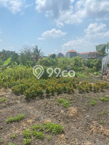 Tanah Dijual Area Strategis di canggu Badung 800m2 Tanah Dijual Area Strategis di canggu Badung 800m2