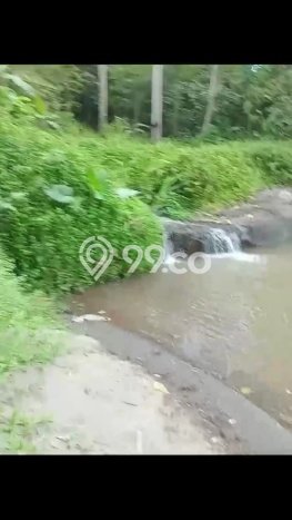 Tanah Dijual Area Strategis di Sayan Gianyar 28000m2 Tanah Dijual Area Strategis di Sayan Gianyar 28000m2