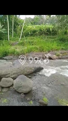 Tanah Dijual Area Strategis di Sayan Gianyar 28000m2 Tanah Dijual Area Strategis di Sayan Gianyar 28000m2