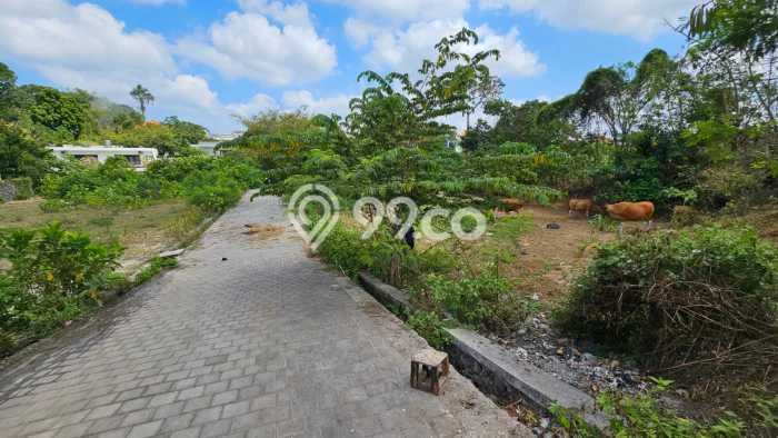 Tanah Dijual Lokasi Strategis di Badung dengan Luas 600m2 Tanah Dijual Lokasi Strategis di Badung dengan Luas 600m2