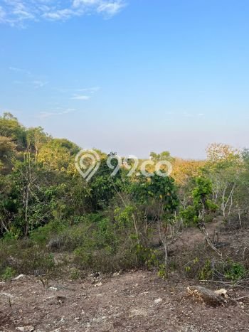Tanah Dijual Area Strategis di Nusa Dua Badung 1600m2 Tanah Dijual Area Strategis di Nusa Dua Badung 1600m2