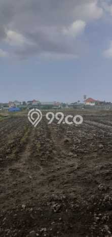 Tanah Kavling Dijual di Renon, Denpasar dengan Luas Tanah 3370m2 Tanah Kavling Dijual di Renon, Denpasar dengan Luas Tanah 3370m2