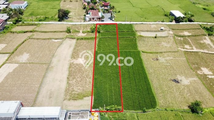 Tanah Kavling Dijual di Keramas, Gianyar dengan Luas Tanah 1565m2 Tanah Kavling Dijual di Keramas, Gianyar dengan Luas Tanah 1565m2