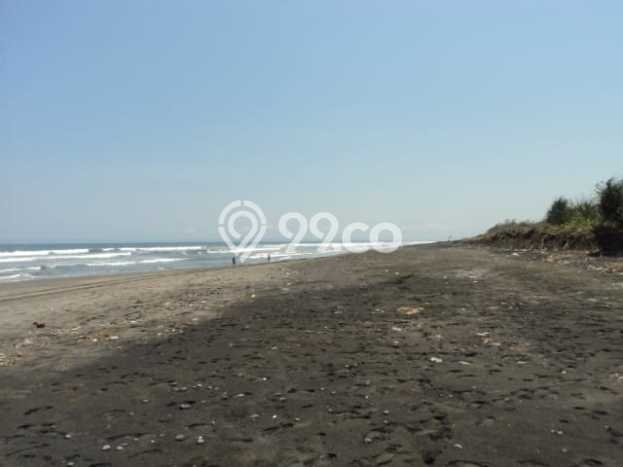 Tanah Dijual di Jembrana Seluas 48000m2 Strategis Tanah Dijual di Jembrana Seluas 48000m2 Strategis
