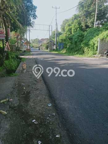 Lahan Dijual Lokasi Strategis di Tabanan dengan Luas 4900m2 Lahan Dijual Lokasi Strategis di Tabanan dengan Luas 4900m2