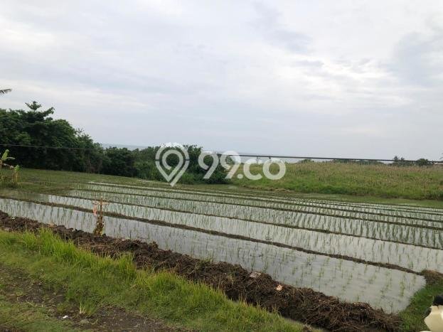 Tanah Kavling Dijual di Tabanan dengan Spesifikasi 4400m2 Tanah Kavling Dijual di Tabanan dengan Spesifikasi 4400m2