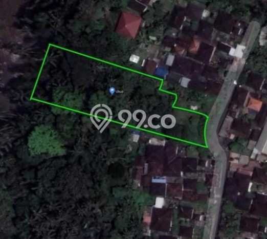 Tanah di Abiansemal, Badung Luas 3160m2 Dijual Segera Tanah di Abiansemal, Badung Luas 3160m2 Dijual Segera