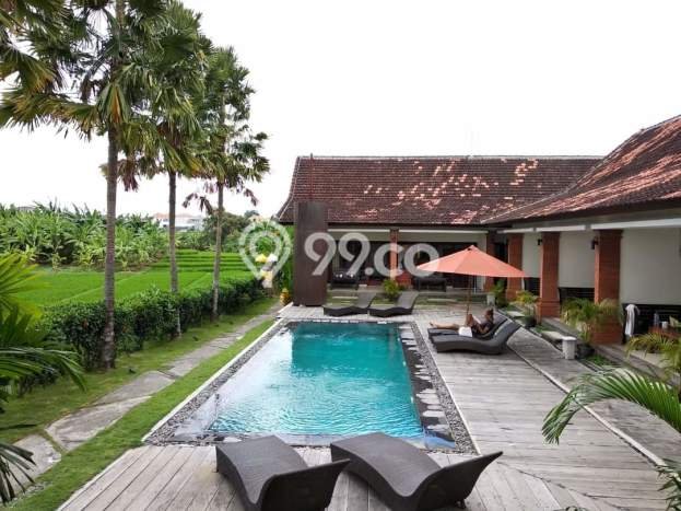 Untuk Dijual Kost 8 Kamar di Badung untuk Investasi Anda Untuk Dijual Kost 8 Kamar di Badung untuk Investasi Anda