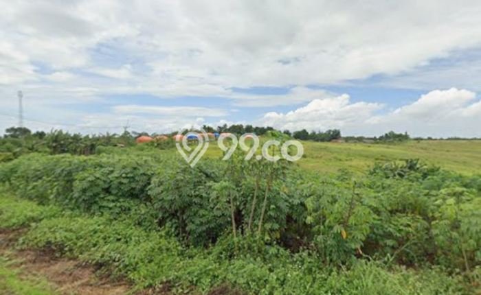Tanah Dijual Lokasi Maja, Lebak dengan Luas Tanah 20000m2 dan Status - Tanah Dijual Lokasi Maja, Lebak dengan Luas Tanah 20000m2 dan Status -
