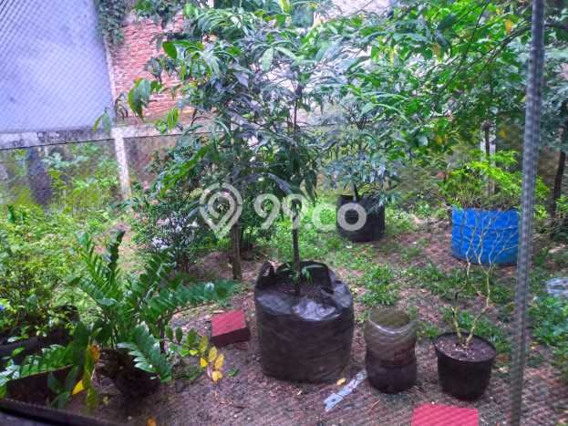 For Sale Hunian Rumah Terawat 2 KT di Cikupa Citra Raya, Tangerang For Sale Hunian Rumah Terawat 2 KT di Cikupa Citra Raya, Tangerang