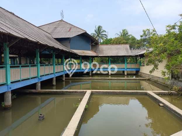 Untuk Dijual Komersial di Cikalongkulon Cianjur LT 4000m2 / LB 700m2 Untuk Dijual Komersial di Cikalongkulon Cianjur LT 4000m2 / LB 700m2