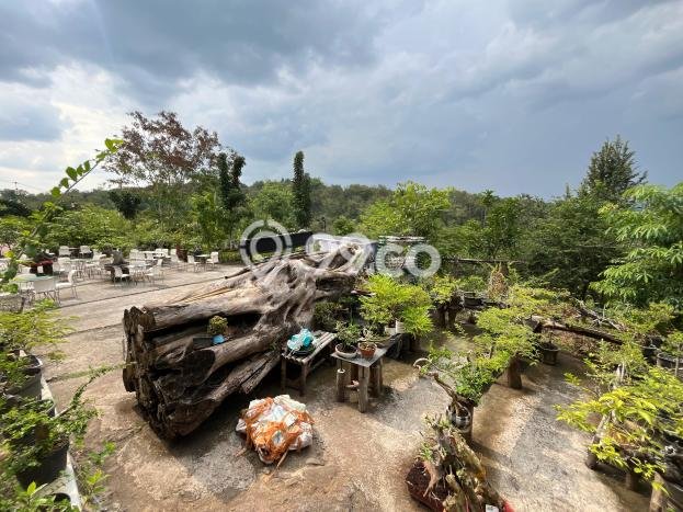 Komersial Dijual Lokasi Emas di Bulu Luas 1000m2 Komersial Dijual Lokasi Emas di Bulu Luas 1000m2