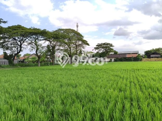 Untuk Dijual Gudang di Kebakkramat Karanganyar LT 41166m2 / LB 1000m2 Untuk Dijual Gudang di Kebakkramat Karanganyar LT 41166m2 / LB 1000m2