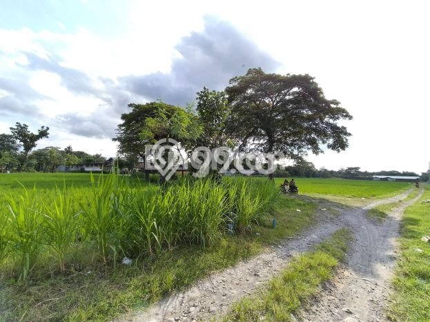 Untuk Dijual Gudang di Kebakkramat Karanganyar LT 41166m2 / LB 1000m2 Untuk Dijual Gudang di Kebakkramat Karanganyar LT 41166m2 / LB 1000m2