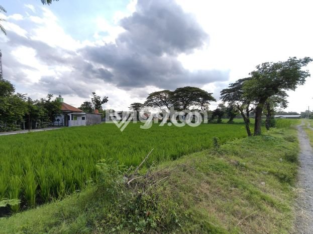 Untuk Dijual Gudang di Kebakkramat Karanganyar LT 41166m2 / LB 1000m2 Untuk Dijual Gudang di Kebakkramat Karanganyar LT 41166m2 / LB 1000m2