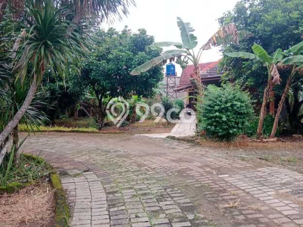 LOKASI STRATEGIS! Tanah di Pagedangan, Luas 3200m2m², Area Asri, Cocok untuk Hunian LOKASI STRATEGIS! Tanah di Pagedangan, Luas 3200m2m², Area Asri, Cocok untuk Hunian