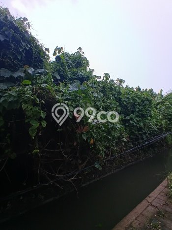 Tanah Kavling Dijual di Tibubeneng, Badung dengan Luas Tanah 550m2 Tanah Kavling Dijual di Tibubeneng, Badung dengan Luas Tanah 550m2