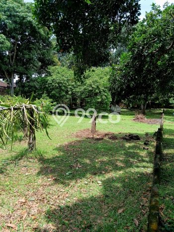Tanah Dijual di Denpasar Seluas 1789m2 Strategis Tanah Dijual di Denpasar Seluas 1789m2 Strategis