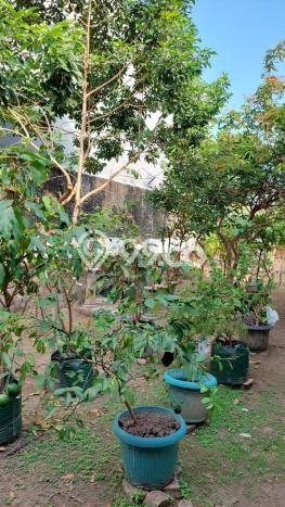 Dijual Rumah Mewah Exclusive di Gondokusuman, Yogyakarta Dijual Rumah Mewah Exclusive di Gondokusuman, Yogyakarta