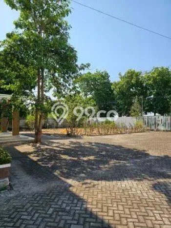 SEWA TERJANGKAU! Gudang di Gending, Luas 8000m², Area Bisnis SEWA TERJANGKAU! Gudang di Gending, Luas 8000m², Area Bisnis