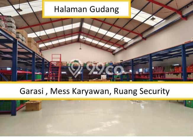 Tersedia Gudang Bisnis di Purwokerto Purwokerto Harga Sewa Menarik Bisa Nego Tersedia Gudang Bisnis di Purwokerto Purwokerto Harga Sewa Menarik Bisa Nego