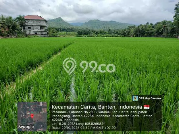 Tanah Kavling untuk Dijual di Carita Pandeglang 30000m2 Tanah Kavling untuk Dijual di Carita Pandeglang 30000m2
