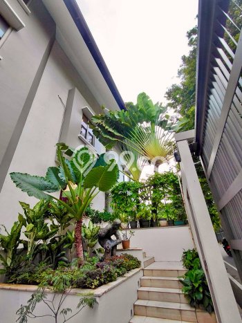Hunian Strategis Dikontrakkan 5 Kamar di Kebayoran Baru Boleh Nego Hunian Strategis Dikontrakkan 5 Kamar di Kebayoran Baru Boleh Nego