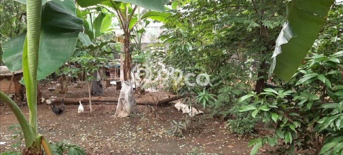 Tanah Dijual Lokasi Kebayoran Lama, Jakarta Selatan Luas 3634m2 Legalitas Aman Tanah Dijual Lokasi Kebayoran Lama, Jakarta Selatan Luas 3634m2 Legalitas Aman