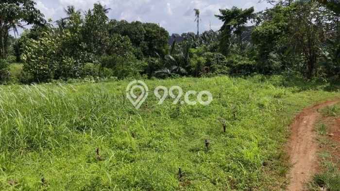 Jual Rumah Favorit Siap Huni LB 350m2 di Setu, Tangerang Selatan Jual Rumah Favorit Siap Huni LB 350m2 di Setu, Tangerang Selatan