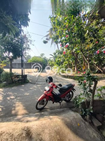 Dijual Rumah Siap Huni di Pandak Bantul Harga Rp 450 Juta LT 236m2 Dijual Rumah Siap Huni di Pandak Bantul Harga Rp 450 Juta LT 236m2