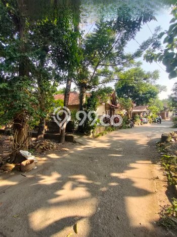 Dijual Rumah Siap Huni di Pandak Bantul Harga Rp 450 Juta LT 236m2 Dijual Rumah Siap Huni di Pandak Bantul Harga Rp 450 Juta LT 236m2
