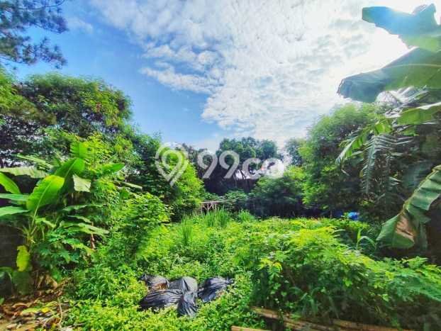 Tanah Area Potensial Kawasan Jatiwaringin, Luas 391m², Lingkungan Nyaman, Akses Jatiwaringin, Jakarta Timur, Jakarta Timur Tanah Area Potensial Kawasan Jatiwaringin, Luas 391m², Lingkungan Nyaman, Akses Jatiwaringin, Jakarta Timur, Jakarta Timur