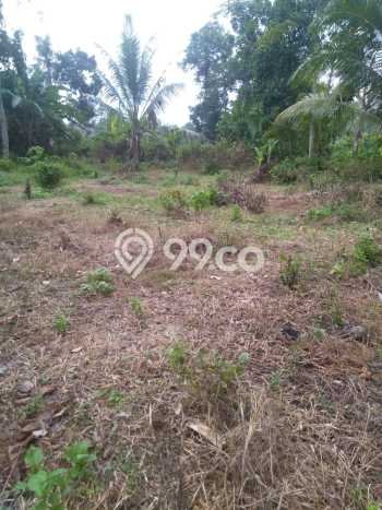 Tanah untuk Dijual di Jati Agung Lampung Selatan Luas 1200m2 Tanah untuk Dijual di Jati Agung Lampung Selatan Luas 1200m2