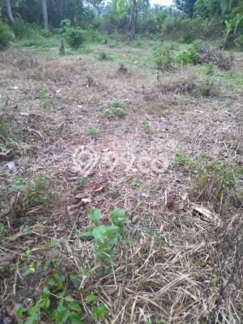 Tanah untuk Dijual di Jati Agung Lampung Selatan Luas 1200m2 Tanah untuk Dijual di Jati Agung Lampung Selatan Luas 1200m2