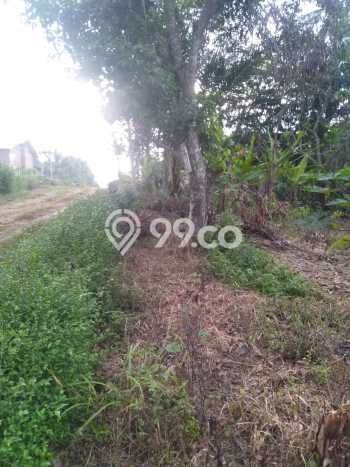 Tanah untuk Dijual di Jati Agung Lampung Selatan Luas 1200m2 Tanah untuk Dijual di Jati Agung Lampung Selatan Luas 1200m2