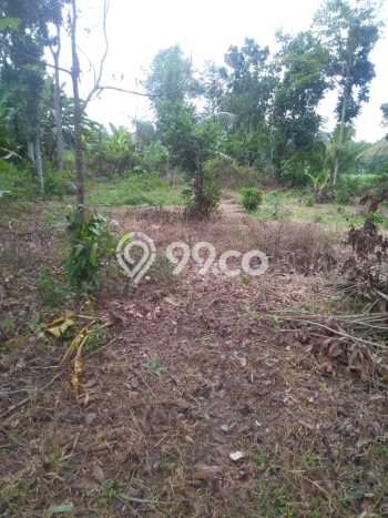 Tanah untuk Dijual di Jati Agung Lampung Selatan Luas 1200m2 Tanah untuk Dijual di Jati Agung Lampung Selatan Luas 1200m2