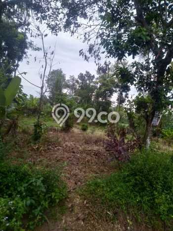 Tanah untuk Dijual di Jati Agung Lampung Selatan Luas 1200m2 Tanah untuk Dijual di Jati Agung Lampung Selatan Luas 1200m2