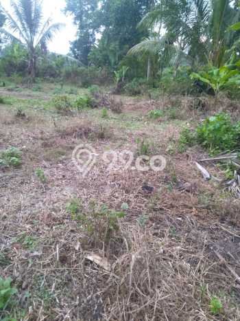 Tanah untuk Dijual di Jati Agung Lampung Selatan Luas 1200m2 Tanah untuk Dijual di Jati Agung Lampung Selatan Luas 1200m2