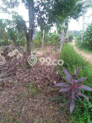 Tanah untuk Dijual di Jati Agung Lampung Selatan Luas 1200m2 Tanah untuk Dijual di Jati Agung Lampung Selatan Luas 1200m2