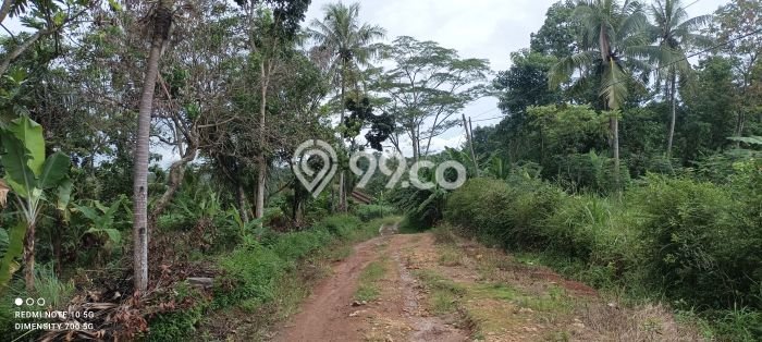 Tanah untuk Dijual di Jati Agung Lampung Selatan Luas 1200m2 Tanah untuk Dijual di Jati Agung Lampung Selatan Luas 1200m2