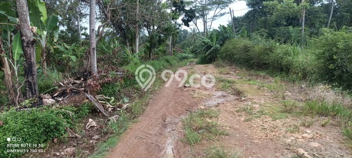 Tanah untuk Dijual di Jati Agung Lampung Selatan Luas 1200m2 Tanah untuk Dijual di Jati Agung Lampung Selatan Luas 1200m2